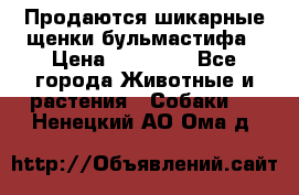 Продаются шикарные щенки бульмастифа › Цена ­ 45 000 - Все города Животные и растения » Собаки   . Ненецкий АО,Ома д.